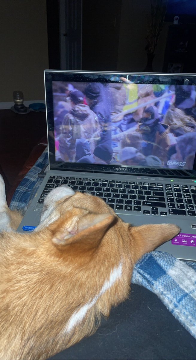 BrysonLeftwich's tweet photo. Poor ole Cooper can’t get close enough to the screen! @EssexLucasOil @bobdillner https://t.co/VanmqZaHXl