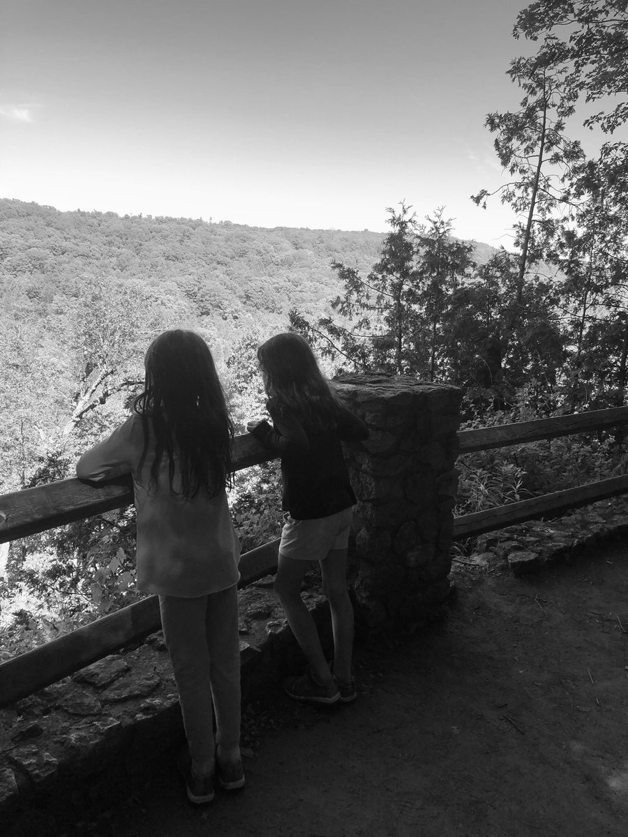 Dave Marshall tweet media