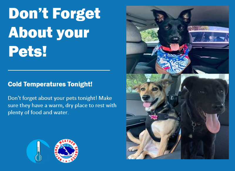 NWSMiami's tweet photo. Jan 29 700PM:  Don't forget about your pets tonight! Make sure they have a warm, dry place to rest with plenty of food and water! #flwx https://t.co/k24G0zZ1eZ