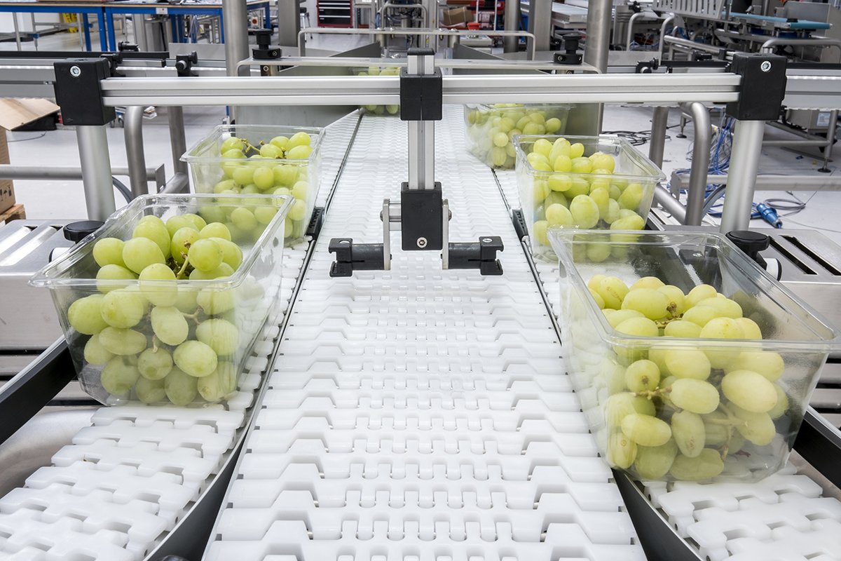 MARCO_Limited's tweet photo. MARCO’s customers in the grape industry pack faster, produce less waste and increase their profits with a MARCO solution in their operation, giving them a sustained competitive advantage over their customers.
https://t.co/TX24RFiHqH
#grapeindustry #grapepacking https://t.co/krY1Nebw7D