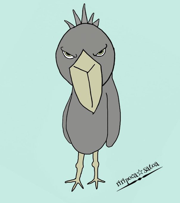 ハシビロコウのtwitterイラスト検索結果