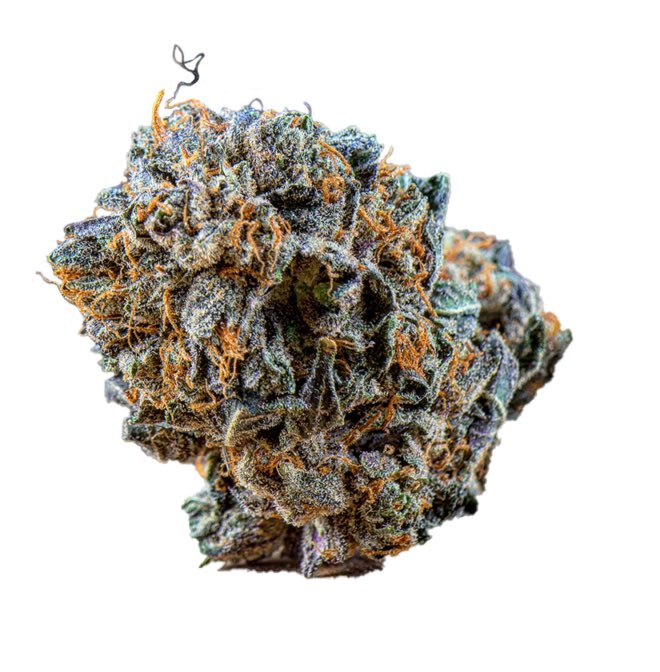 WomackCannabis's tweet photo. #Durban✅
🏔#Colorado 🌳💨🌳
Let Us Take Care of Your Preroll Needs
🏪✅🏪🌳💨🌳❤️🌳💨🏪✅🏪
#FullFlower 1 gram Process Validated #RecLicense #WholesalePreroll DM💪 https://t.co/Li47xIUzDO