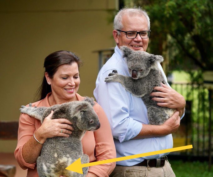 Jenny chose her Koala as it reminded her of #ScoMo! https://t.co/fE26K2JaDs