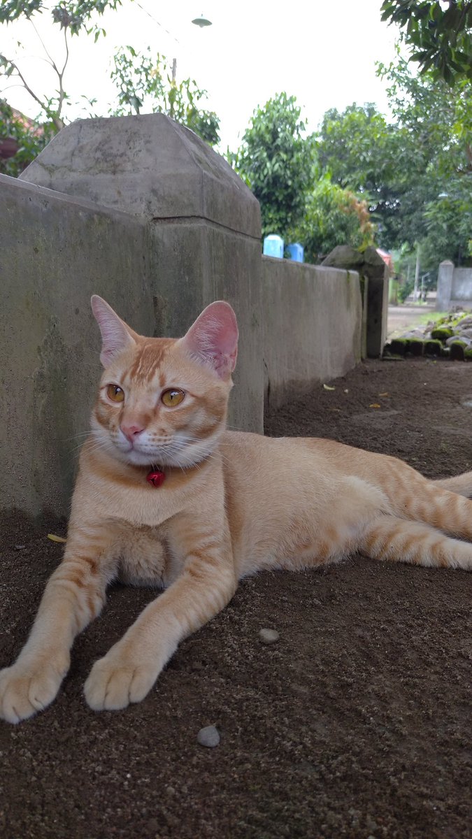 Cepat sembuh y mooi,,kangen sama mooi yg ceria dan aktip... Love you more