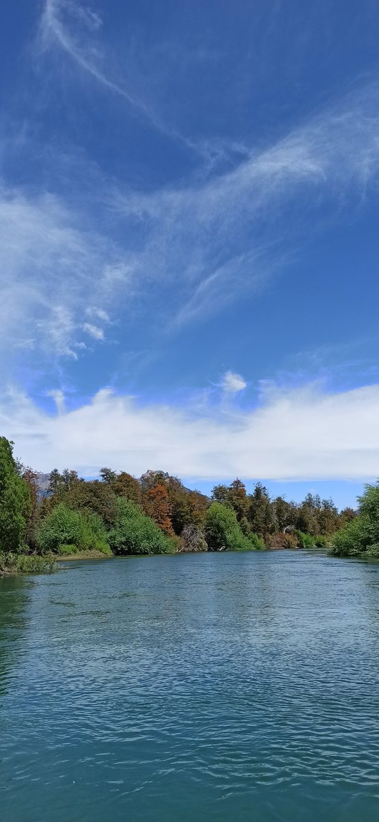 daniwaridel's tweet photo. 🏞️Patagonia Argentina ❤️ https://t.co/wIcZnWI1Cs