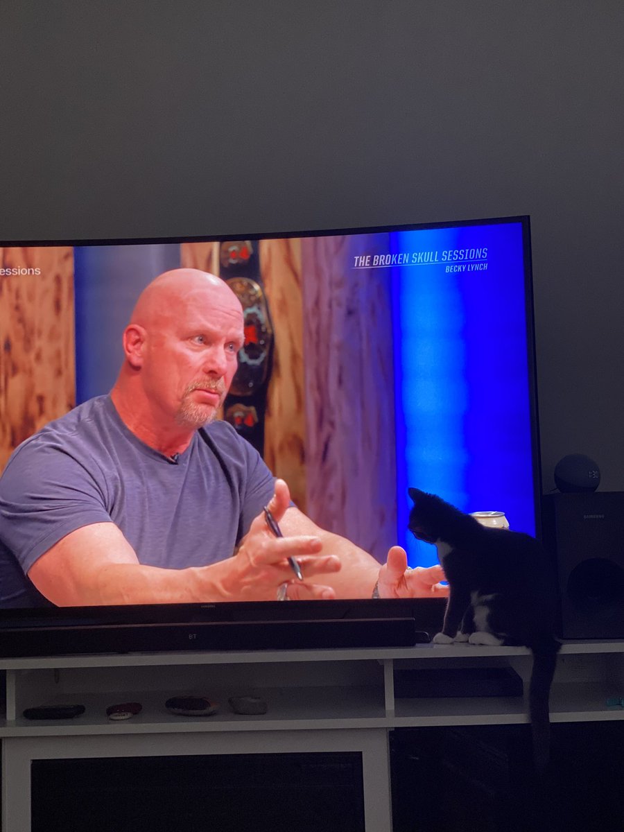 Trying to watch <a href="/steveaustinBSR/">Steve Austin</a> interview <a href="/BeckyLynchWWE/">Rebecca Quin</a> and growing increasingly worried that my cat Sue will catch a stunner… #BrokenSkullSessions