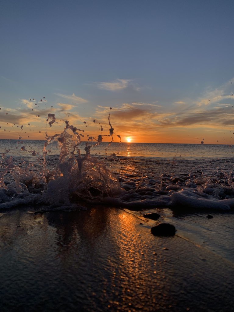 Vengo a presumir la tremenda foto que saqué. Bs
