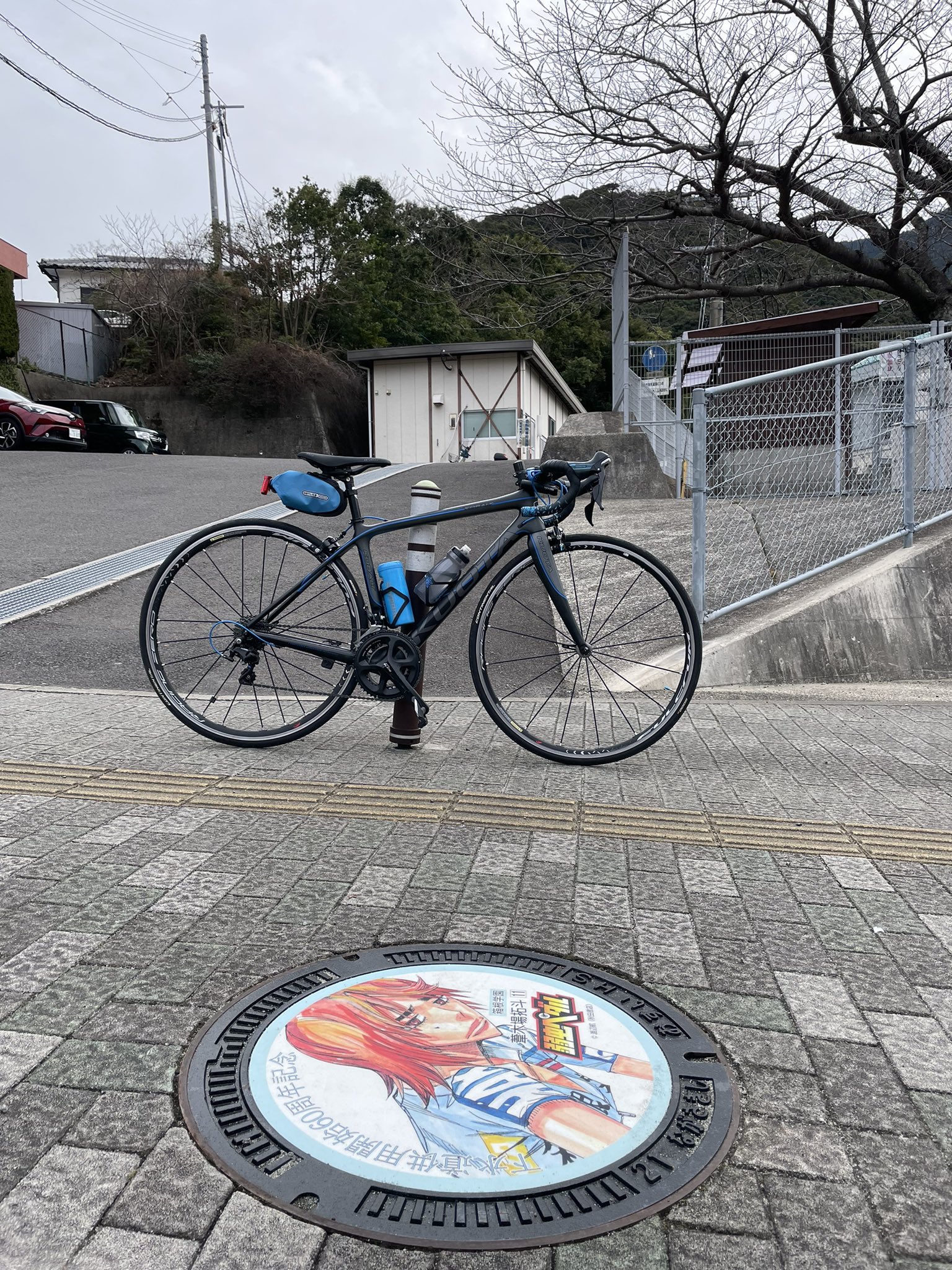 こばと 葦木場くんと 野母崎半島サイクリングロード入口 通学路にこのマンホールがあるここの中学生 土井首中 たちがうらやましいな 弱虫ペダルマンホール T Co Mldfkt98av Twitter
