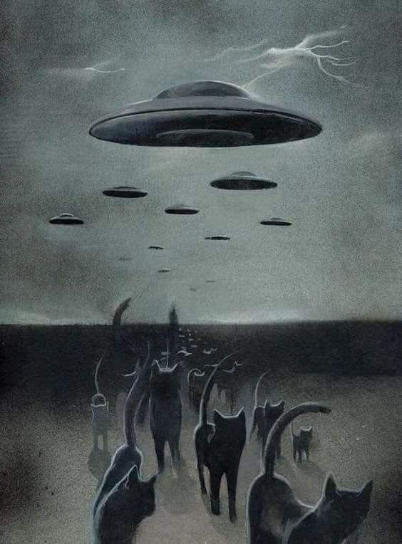 Buttcrack Nelson (@floamymagee) on Twitter photo 