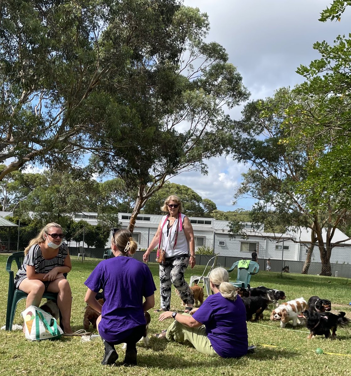 lde164's tweet image. Interesting to hear about voter regret at Kirrawee Dog Park this morning for latest #PoliticsHasGoneToTheDogs event with Linda Seymour ⁦@HughesRenews⁩ Independent Federal candidate🐶
Changing allegiances for #RustedOn voters #HughesVotes
Many reasons people are listening🎯