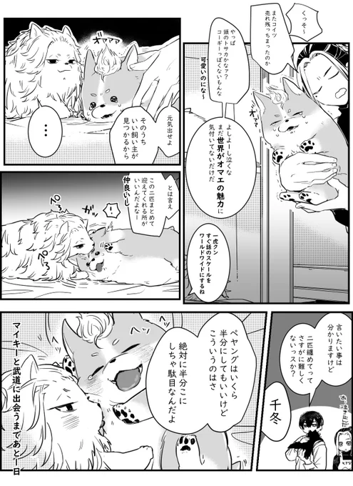 マイ武さんに迎えられる前日の🐶 