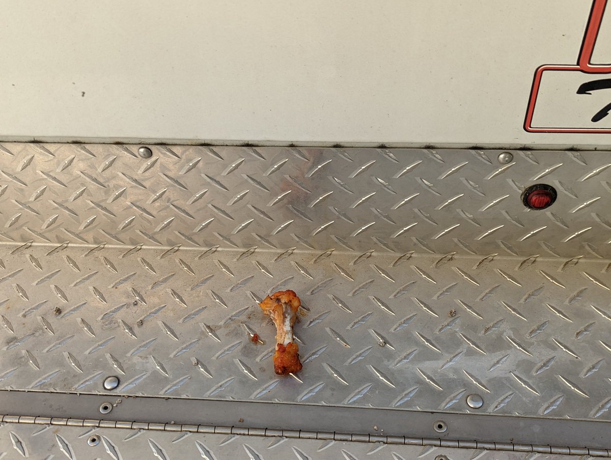 TheArea81Show's tweet photo. I drove all the way home with a 🍗 on my bumper. #chickenwings #hotdogsandbologna #originalhot #franksredhotsauce https://t.co/g4pwS6SEqd