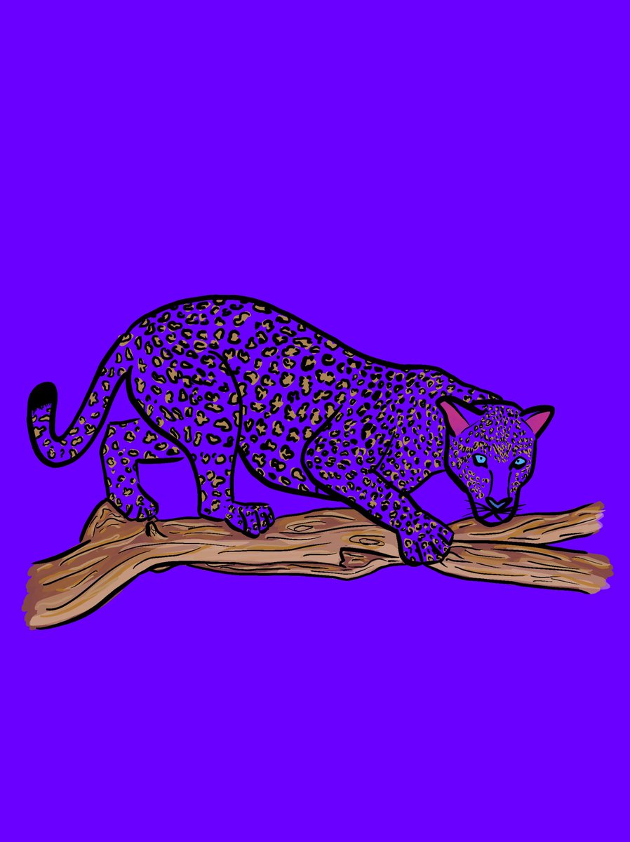 PsychoLeopards's tweet photo. Find me 

#NFTs #NFT  #NFTCommunity #NFTCollection #nftcollector #OpenSeaNTF https://t.co/UImEsfb7ID