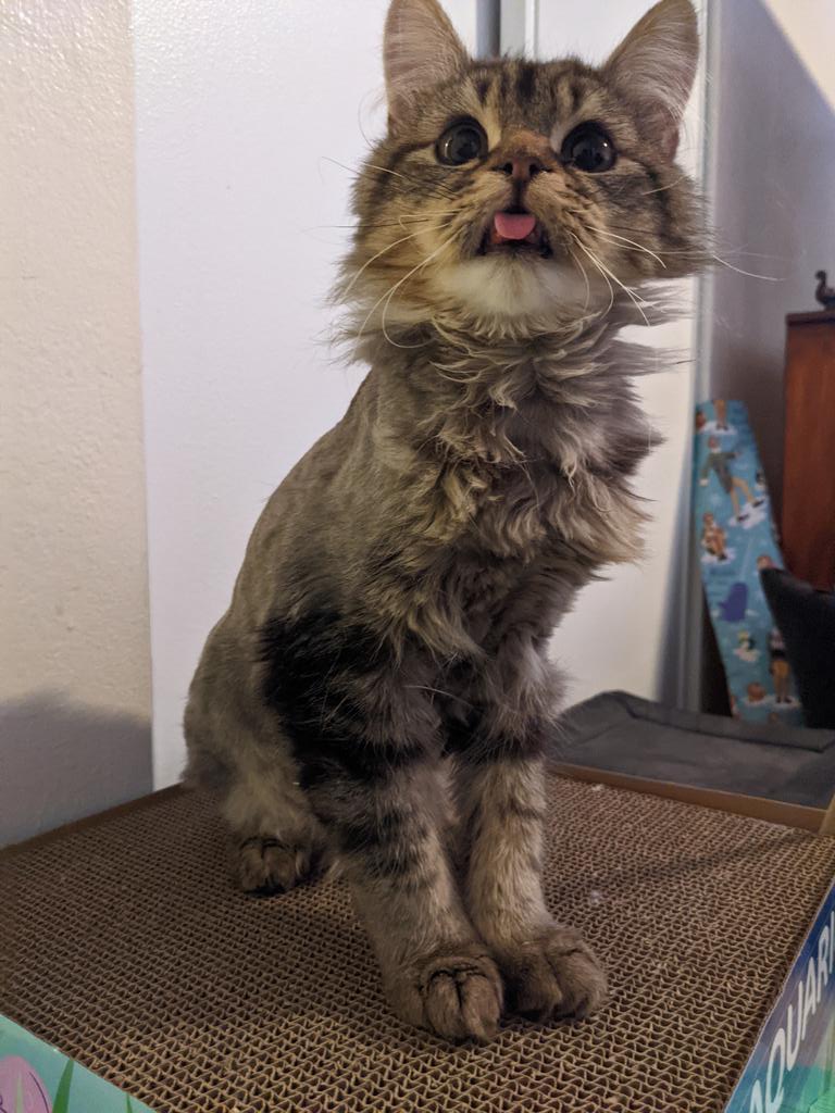 Hi friends! My name is Gus, I'm excited to meet you!
