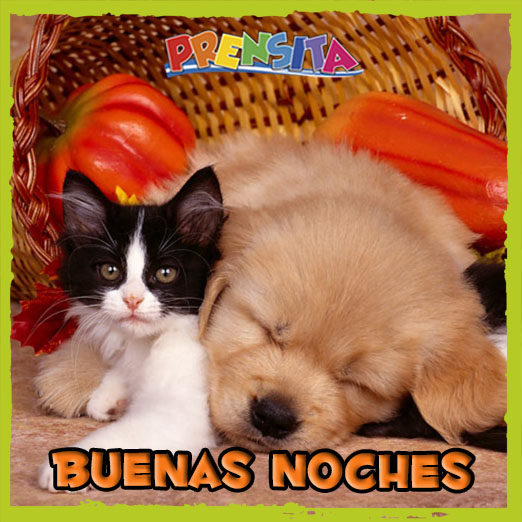 Prensita on Twitter: Prensita on Twitter: