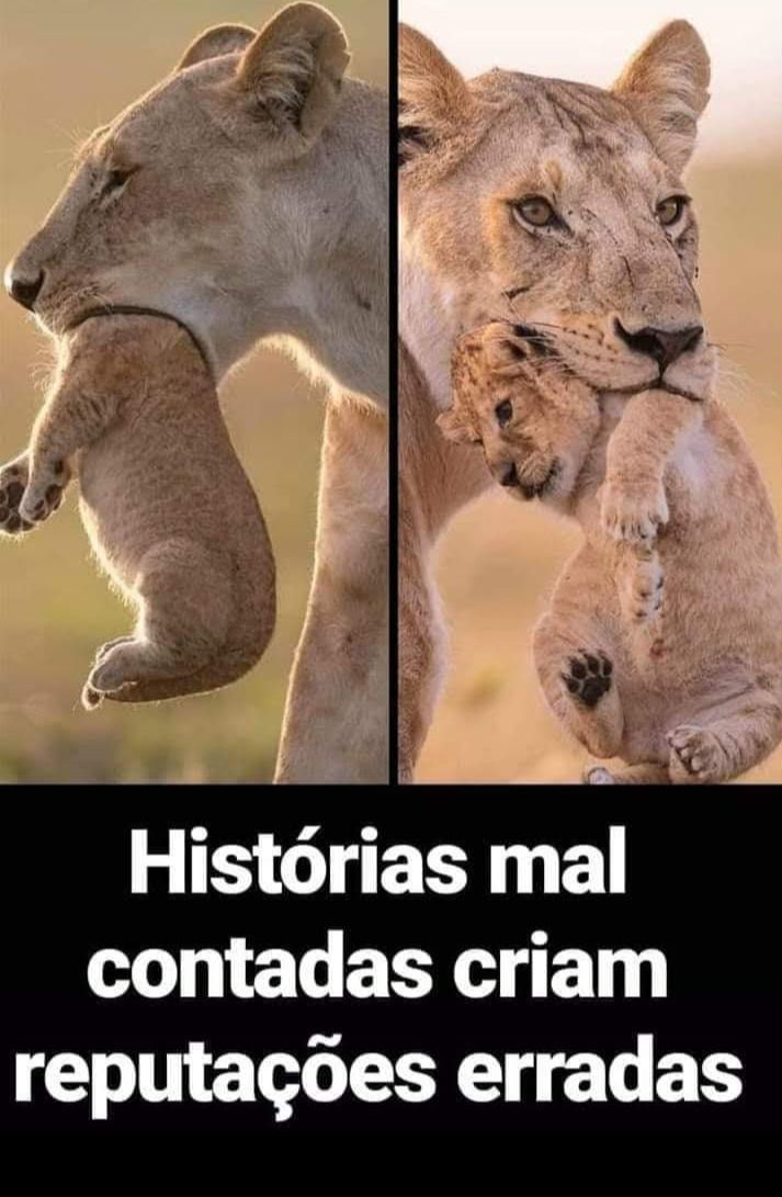 SETECENTRAL's tweet image. 