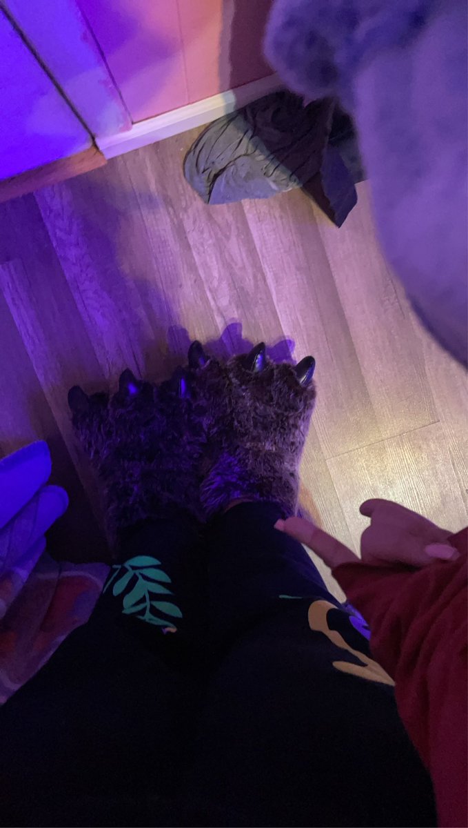 wallowsgarden's tweet photo. it’s called fashion, look it up. #quarantineupdate https://t.co/PbEcv0lD4M
