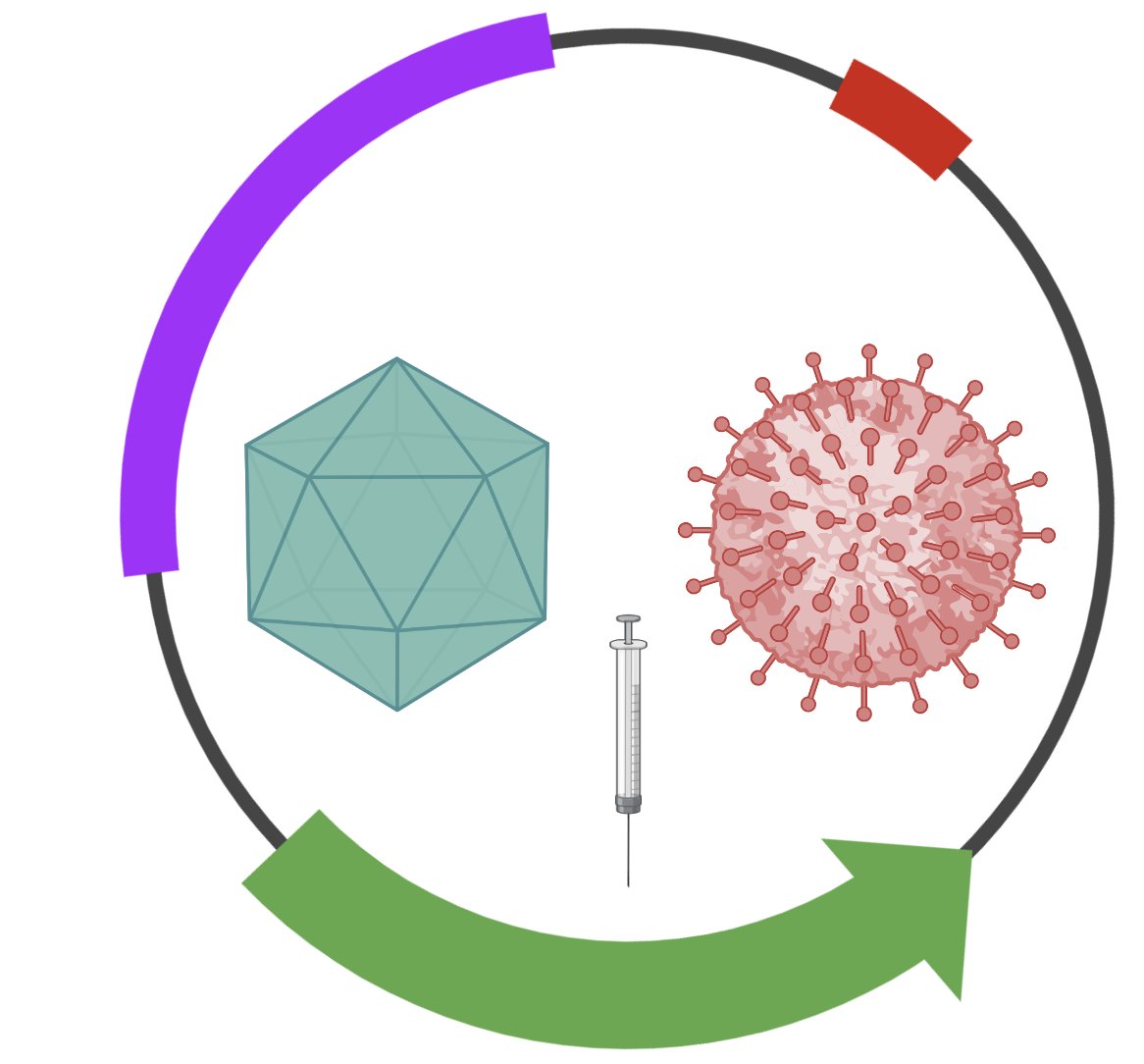 New Logo for <a href="/UMBVirusCore/">UMB Viral Vector Core</a> <a href="/UMBaltimore/">University of Maryland, Baltimore</a>