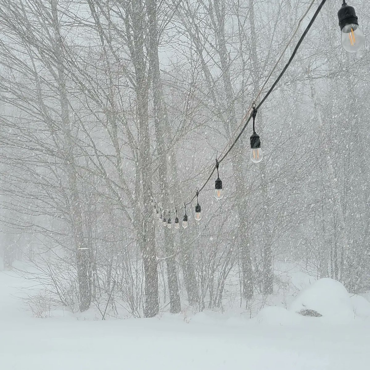SndrCksn's tweet photo. #noreaster #noreaster2022 #Maine https://t.co/7BQRj9KlGr