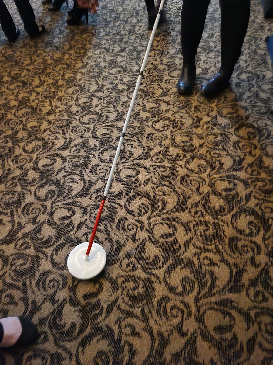 FSU_VisDis's tweet image. FSU faculty and students so happy to help out with @LBigbend and their annual Dining in the Dark.  It was a huge success!  Hope to see you there next year!