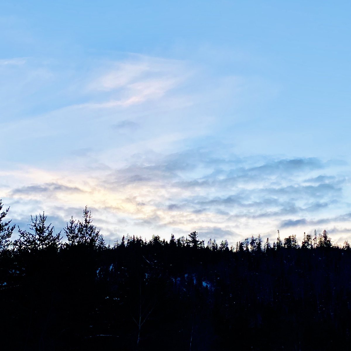 marykkeown's tweet photo. #Snowshoe #adventure on #OverheadLake, north of #Capreol. Every time I go there I am amazed this is within #GreaterSudbury #CityLimits. It’s so heart-flutteringly beautiful. #BlueSkies + untouched #snow + #NorthernOntario treeline + dense #woods made for an excellent #explore. https://t.co/vvMQyZ0bFT