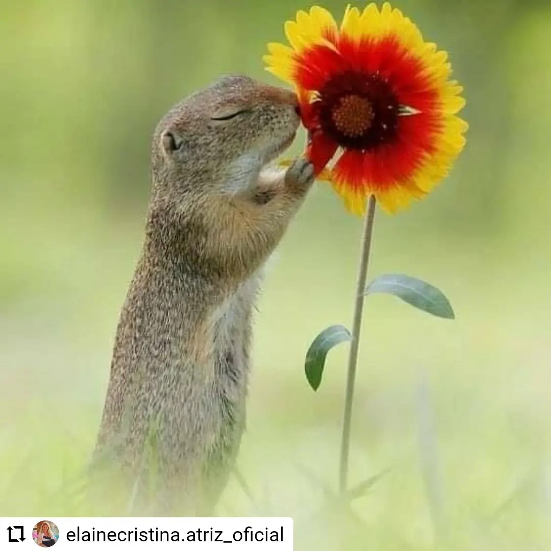 ariel_moretti's tweet photo. https://t.co/Gp5FHV8KfD