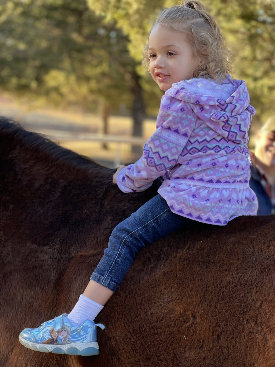 I swear there's no way he's a 3 yr old OTTB. He MELTS when my friend brings his granddaughter around. @FHVictoriaKeith  thank you for putting this boy in my life! <a href="/janofwor/">Janice Palmer</a> <a href="/DonnaBBrothers/">Donna Brothers</a> <a href="/Fox_Hill_Farm/">Fox Hill Farm</a> <a href="/NTWOorg/">NTWO</a>  #TrumpCard #OTTB #Responsiblyretired