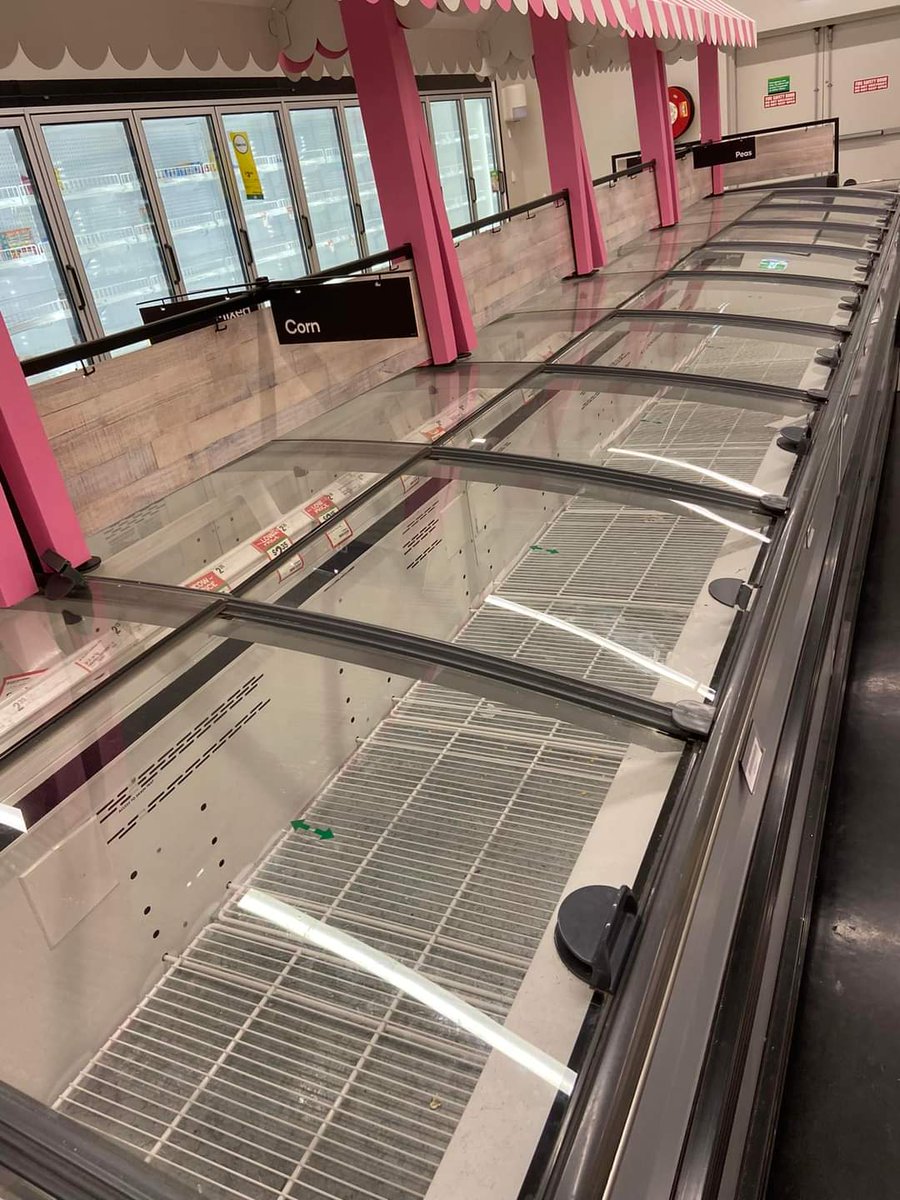 lizzytrevaskis tweet media