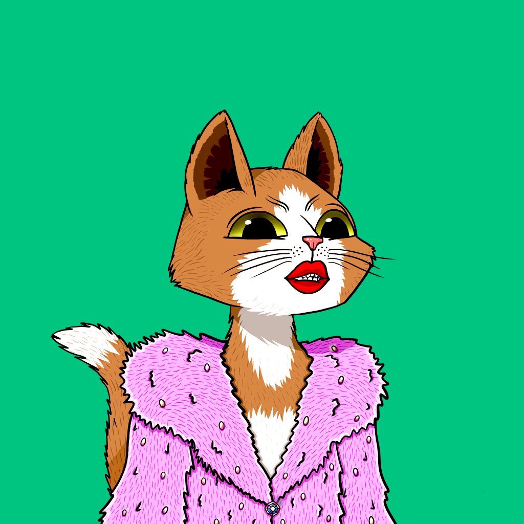 Durability Coach tweet media