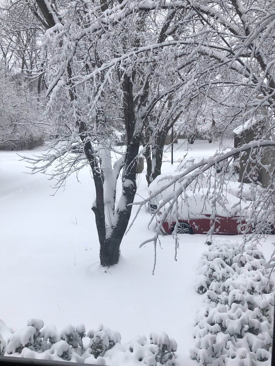 GlobalDRZ's tweet photo. @lifesafeast It’s not Brooklyn, but I hope it brings you comfort. https://t.co/HVXw9Thk8X