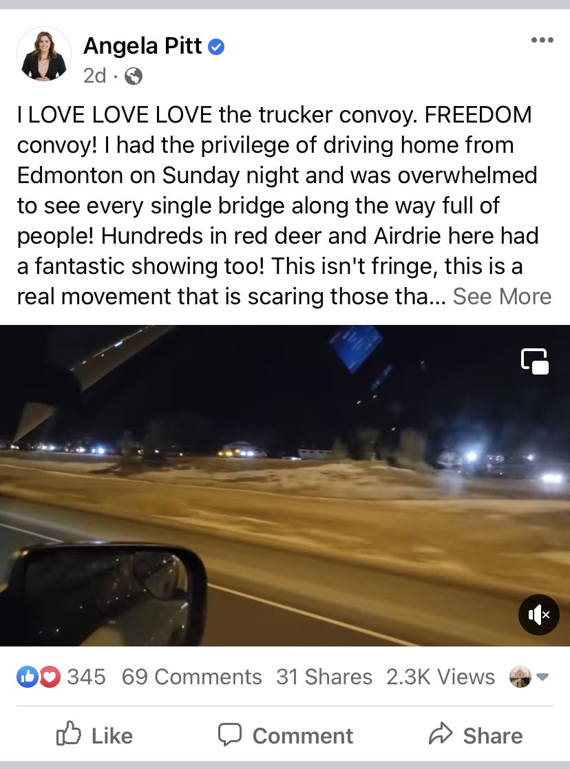 MsLutzmann's tweet photo. Alberta @UCPCaucus MLA Angela Pitt “loves love loves” the trucker convoy and “supports everyone” that is defacing the Canadian flag with swastikas, waving Confederate flags and dancing on the Tomb of the Unknown Soldier. #ableg #abpoli #cdnpoli #yyc #airdrie https://t.co/j1pFRWnI4I