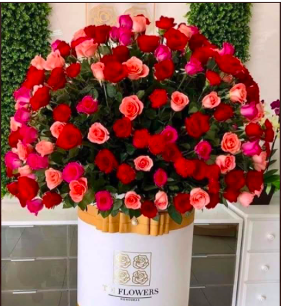 Angeliki T 💎 in NYC/ on X since May 2009 & I stay tweet media