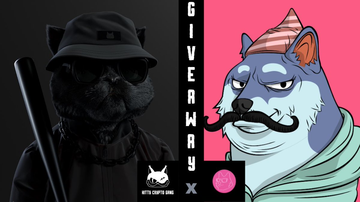 TheDogePoundNFT's tweet photo. Partnership with the KCG ! 😼 
5 Doges just swept up by @KittyCryptoGang ! All going back to their holders in their KittyBox! Respect ✊ 

They are also giving away 1 x KCG NFT. To enter 👇 
- Follow @KittyCryptoGang &amp; @KittyBoxByKCG
- Like, RT and Tag 2 friends
- 72 hours https://t.co/z5FkfPSi8l