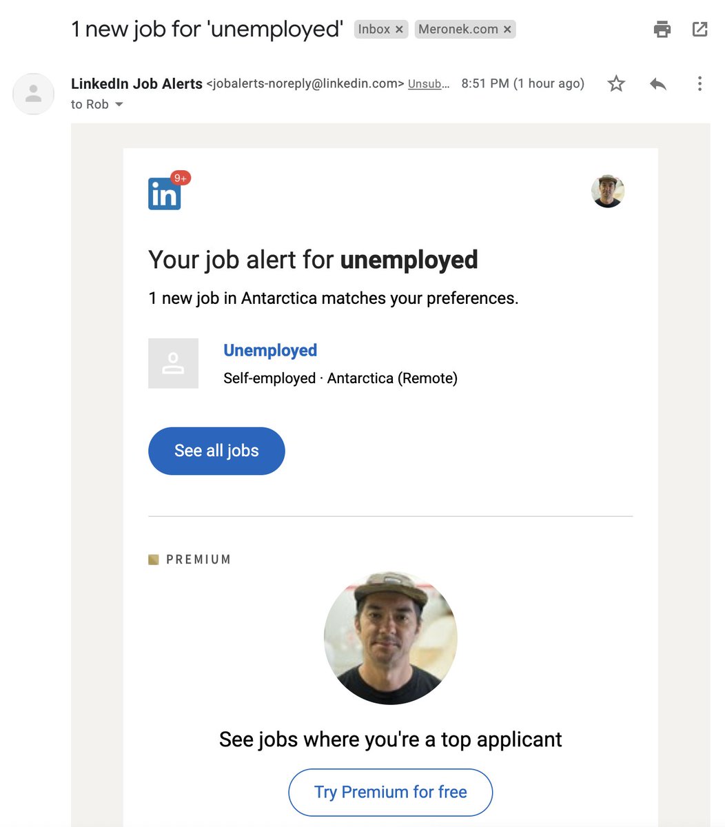 LinkedIn job alerts suggesting I go to Antartica to be unemployed, remotely of course.