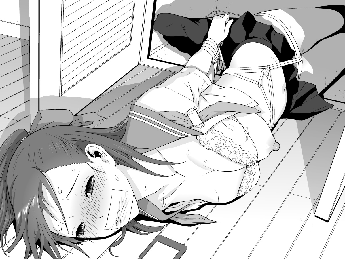 よく単行本の描き足し原稿でミニコラムを組むんだけど、そこで義妹シリーズのやらないネタとか毎度ボツにするネタを「こだわり」と称して披露してるんだけど、次の単行本はそういうネタばかりを集めています。
あえて義妹シリーズとして…。
画像はその時のイラスト。 