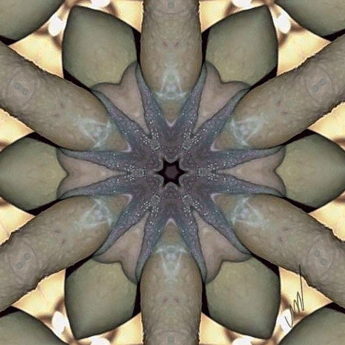Find this nft at https://t.co/ZizovQR5RD #nfts #nft #nftart #nftcommunity #nftcollector #nftartist #cryptoart<a href="/tag/nfts"class="tags">#nfts</a><a href="/tag/art"class="tags"><span>#art</span></a><a href="/tag/digitalart"class="tags"><span>#digitalart</span></a><a href="/tag/bitcoin"class="tags"><span>#bitcoin</span></a><a href="/tag/cryptocurrency"class="tags"><span>#cryptocurrency</span></a><a href="/tag/blockchain"class="tags"><span>#blockchain</span></a>