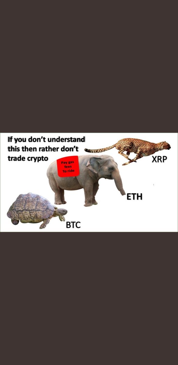😂🔥#xrp so true!!!