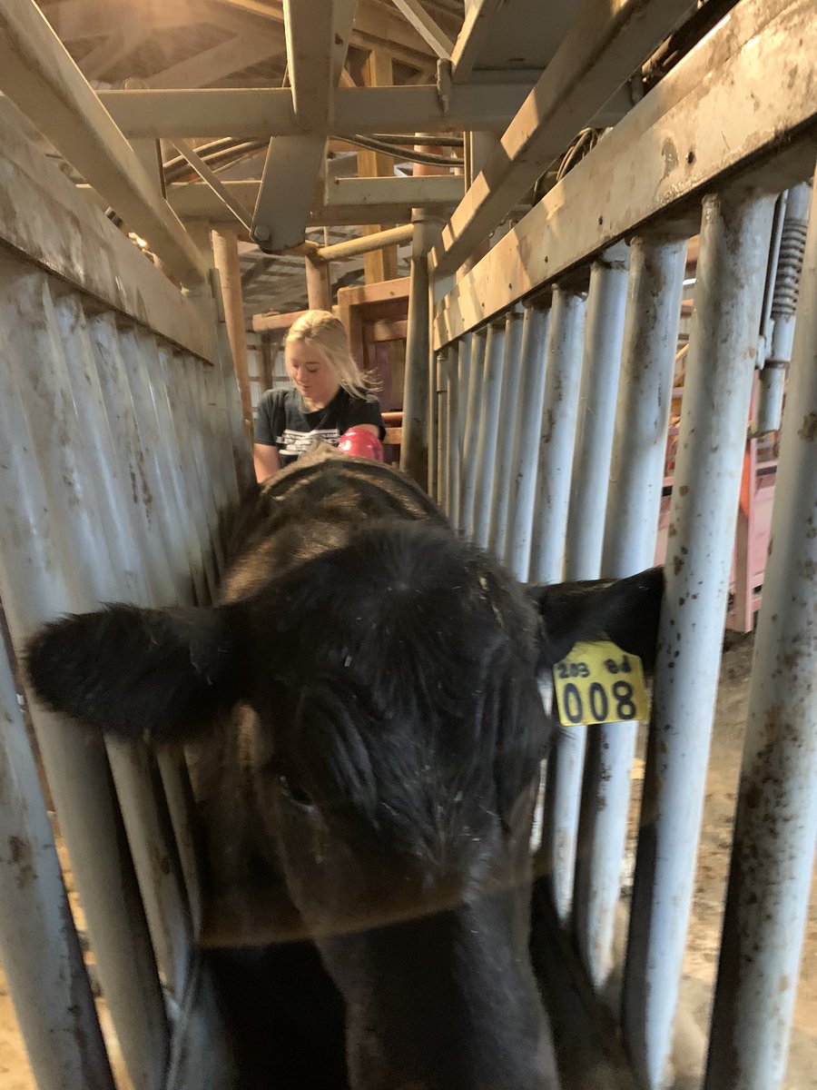 She got herself into vet school. Next stop is pharmaceuticals so she can bankroll this operation