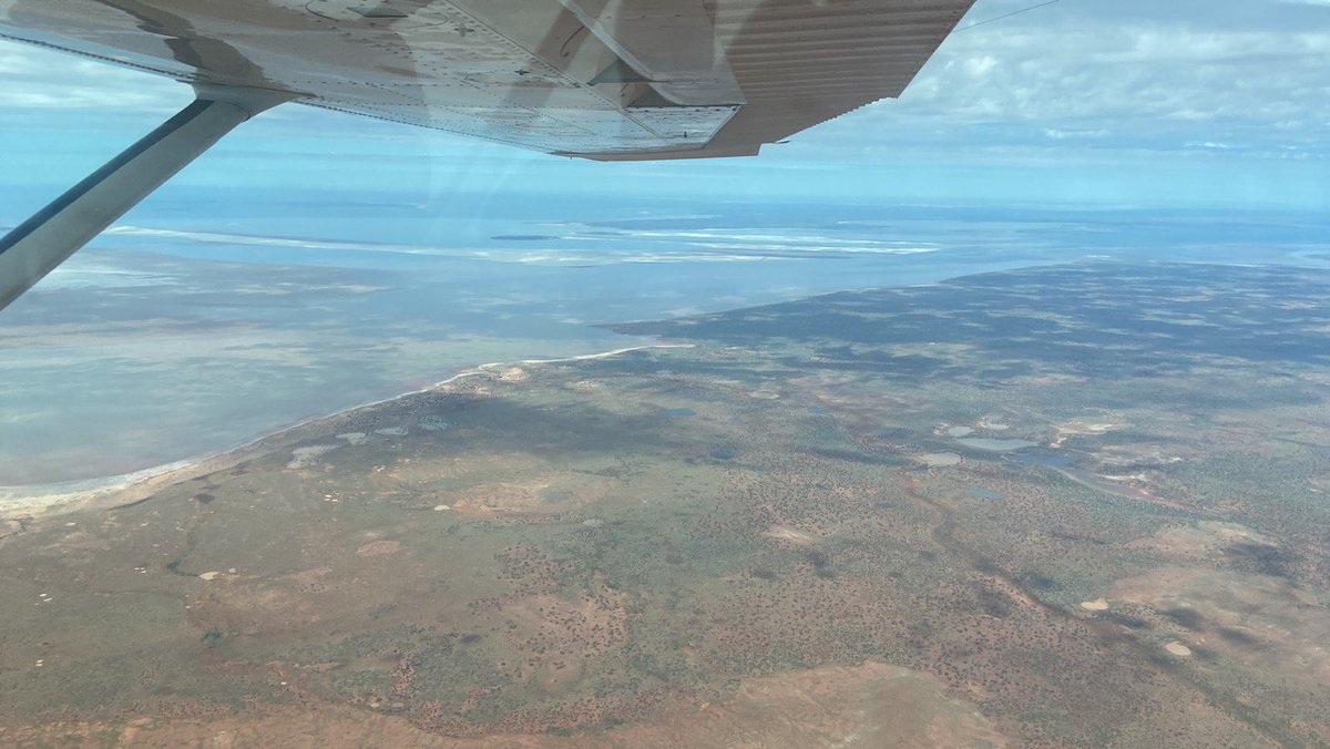 Richard Elkhoury (@legaldruglord) on Twitter photo 