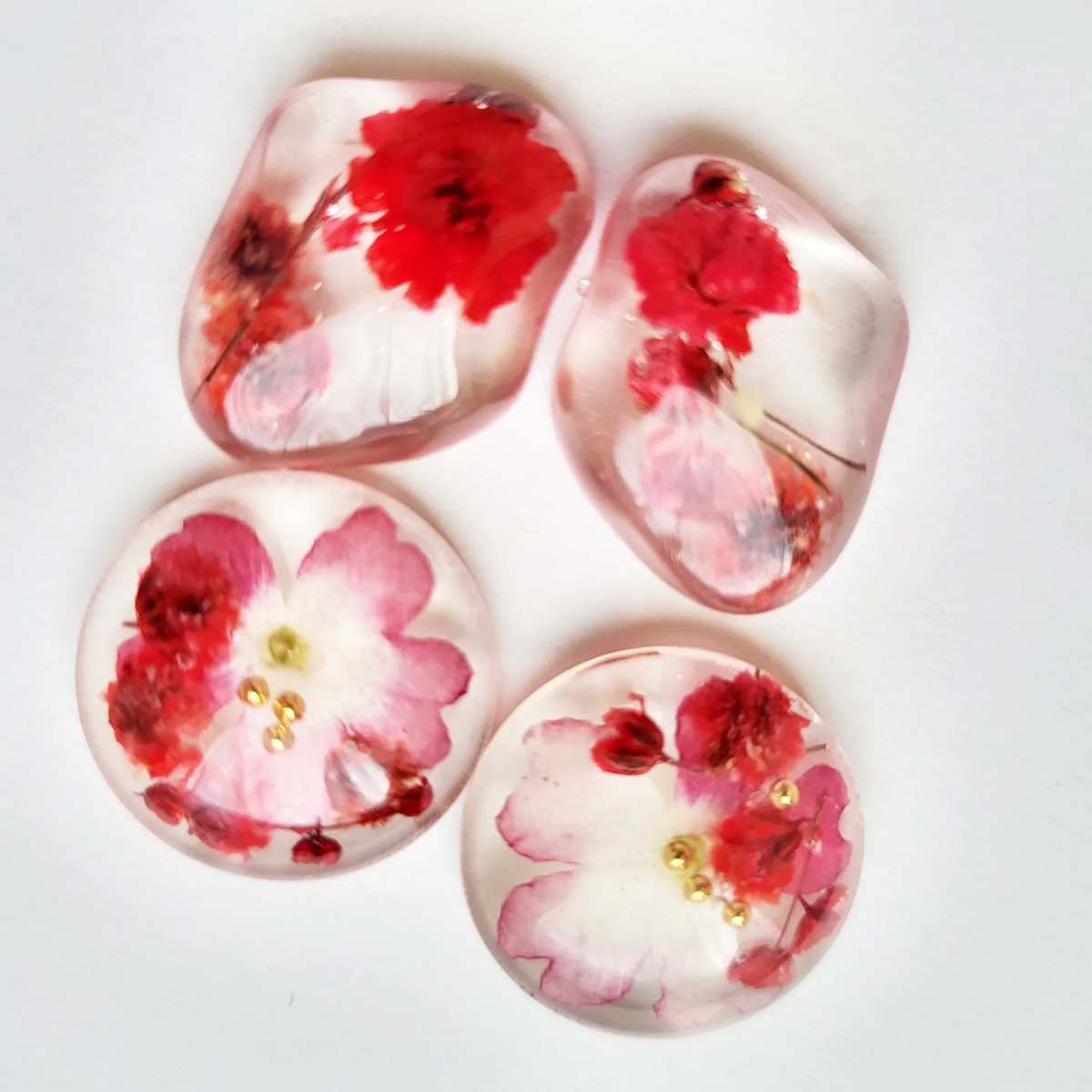 parallelworld03's tweet image. 赤の花🌸