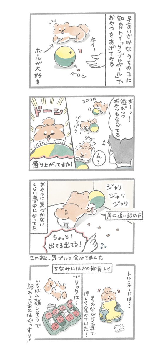 【お仕事】
いぬのきもち2月号にて4コマ漫画を描かせていただきました!愛犬のむっくが早食い気味なので、知育おもちゃを3つ与えてみたという内容です🐶✨
おもちゃはこれ↓
https://t.co/gFa0HEn3ll 