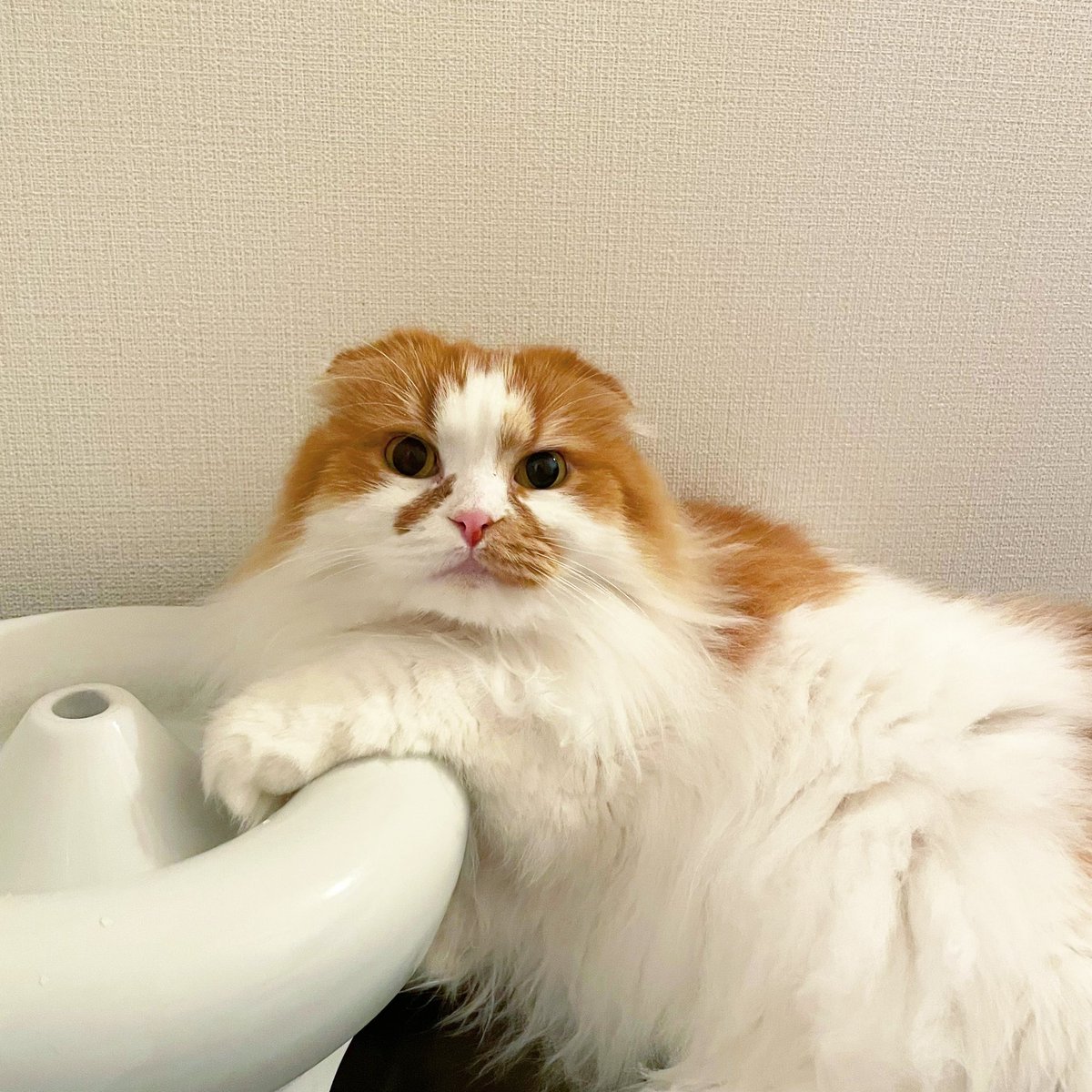 給水器を求めて。