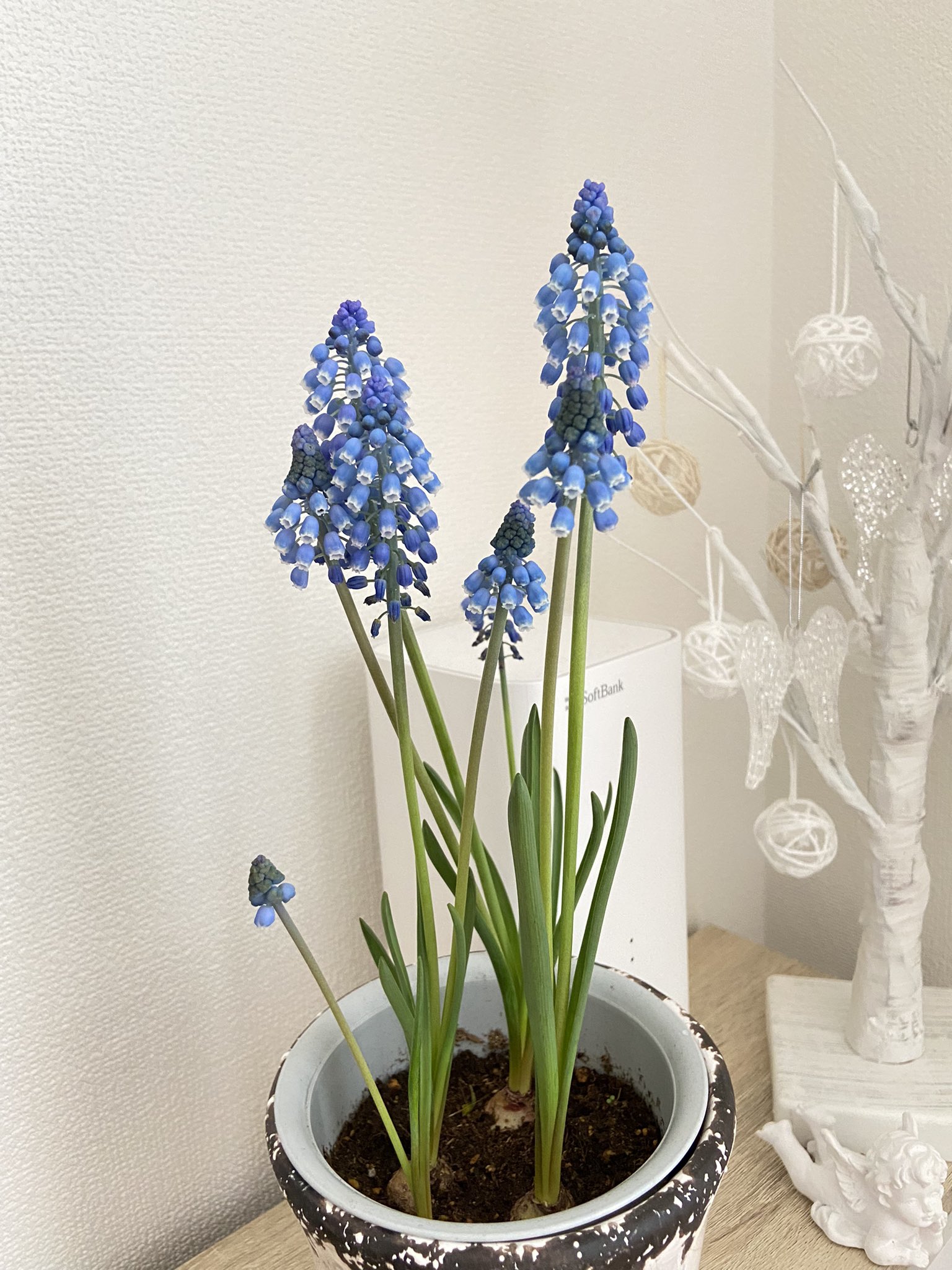 通じ合う心 Twitter Search Twitter