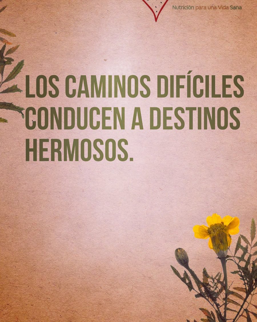 BulimiAnorexia's tweet photo. En la vida encontrarás dificultades. Tú decides si aprender de ellas o derrotarte. #noterindas https://t.co/qZnrYVRsiU