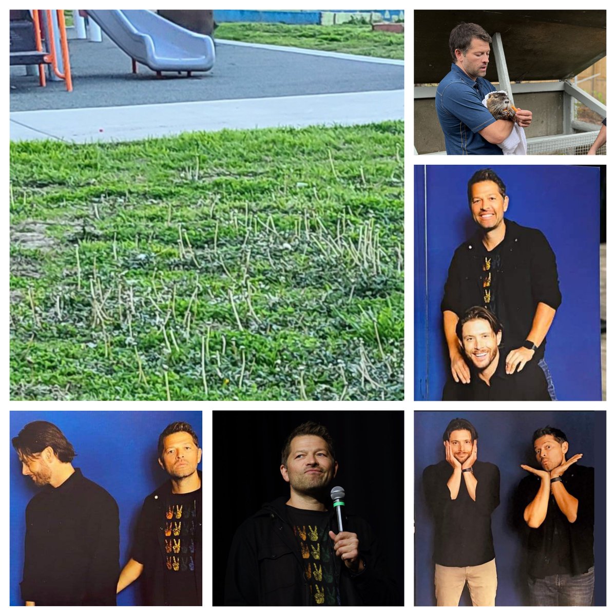 Romo559's tweet photo. I wished a lot for Jensen and Misha content. I think I got all my wishes. Keep them coming, people!
#IWishForThis #MishaCollins #JensenAckles #cockles https://t.co/YbkGCgoznz