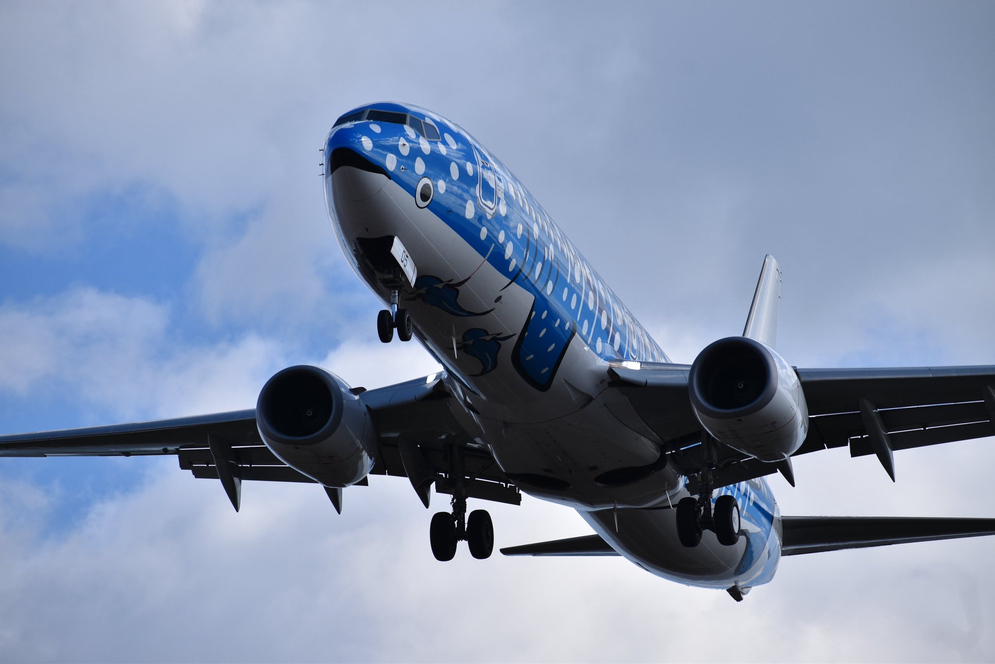 JTA ジンベエジェット JA05RK Boeing 737-800 DAUPHIN on X: 