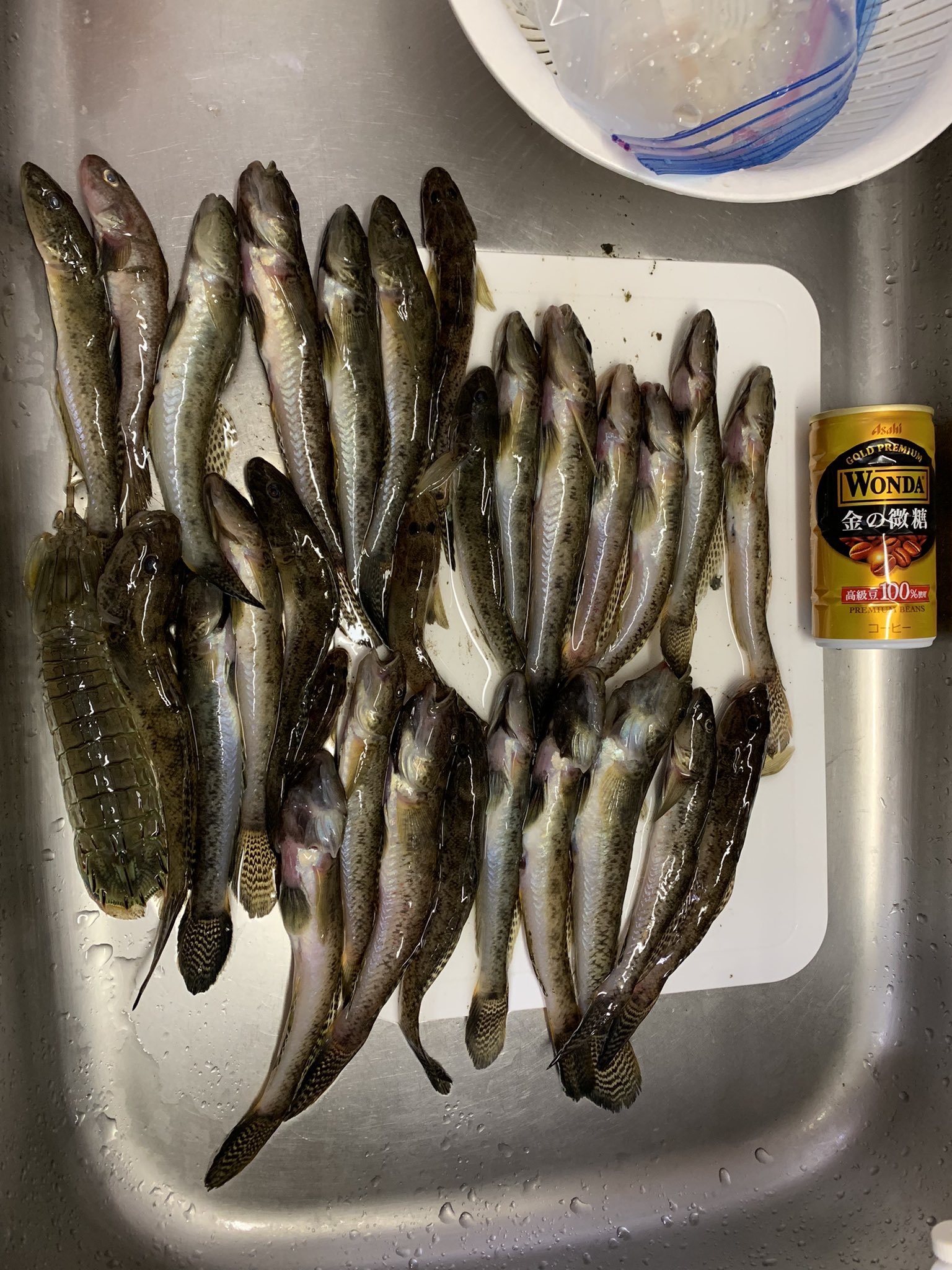 てつお Tetsuo Fishing Twitter