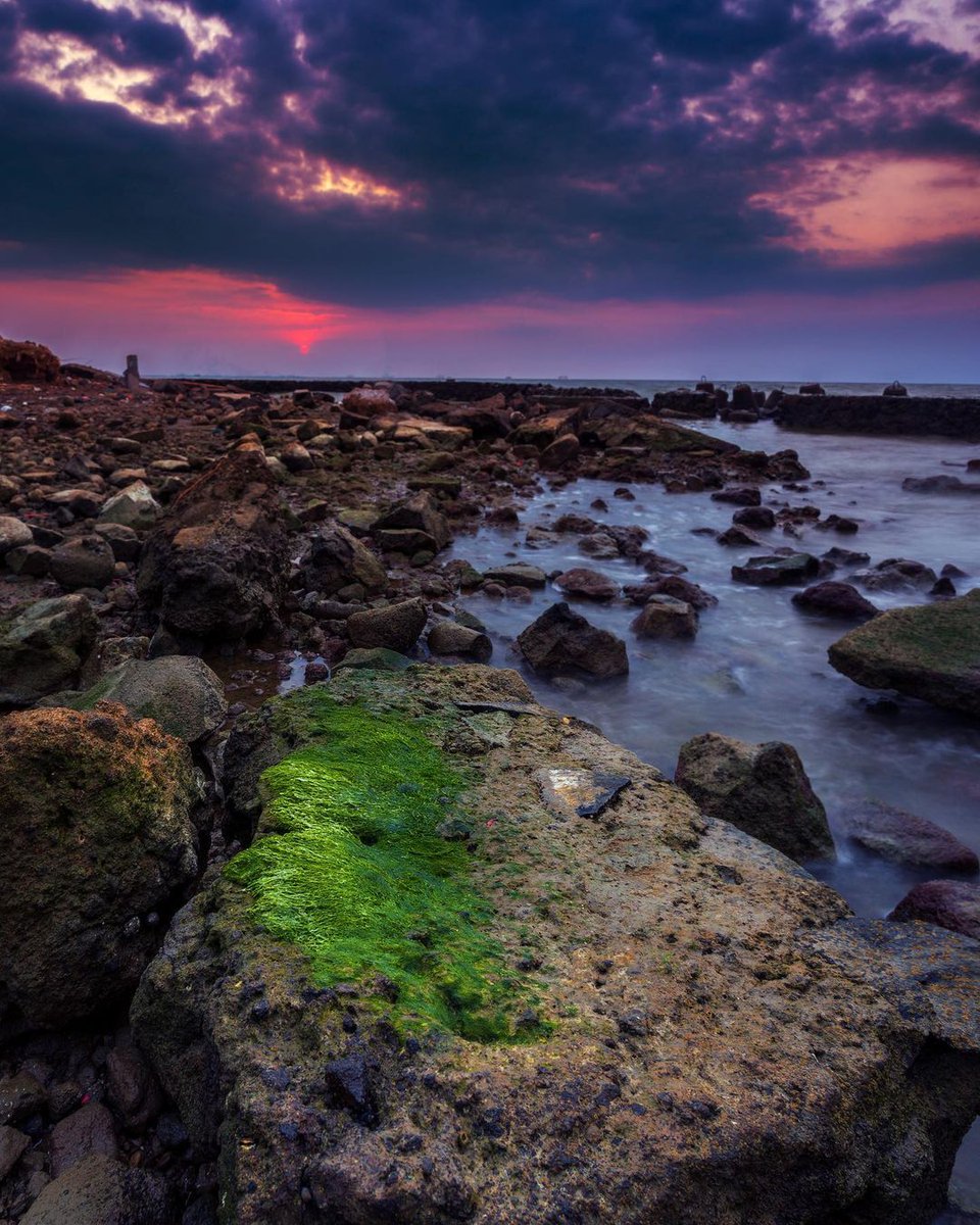 adek🦋 tweet media