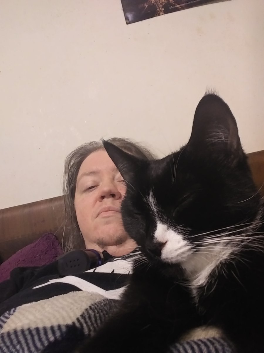 DBinNinja's tweet photo. @hillarygayle Millie had me trapped the other day. https://t.co/OshURei4zg