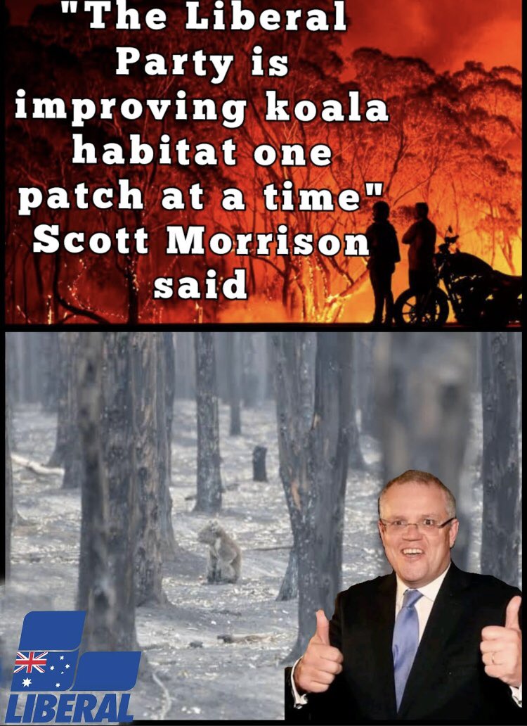 Brucekoalaandco's tweet photo. #ScottyFromPhotoOps is a #koalakiller like his mate #glagbags #Savethekoala #votegrab #VoteThemOut #auspol #CallTheElectionDickhead #AlboForPM https://t.co/p48HiQXkmE